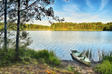 Tayga gölünün kıyısındaki çam ormanları. Sonbaharın başlarında, güneş ve çınlayan sessizlik.