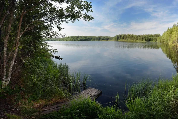 Florestas Pinheiro Margem Lago Taiga Início Outono Sol Silêncio — Fotografia de Stock