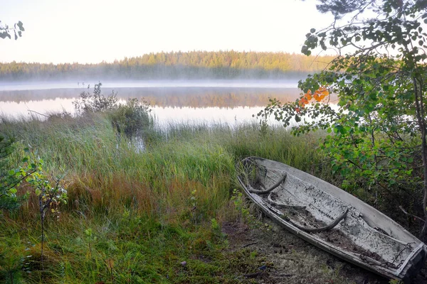 Tayga gölünün kıyısındaki çam ormanları. Sonbaharın başlarında, güneş ve çınlayan sessizlik.