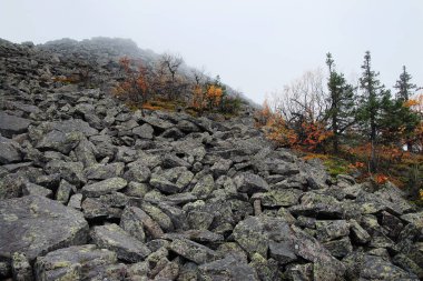 Kuzey yamacında Ural Dağları. Rocky yamaçları, yosunlar ve güneşin altında nadir bulunan bitkiler..