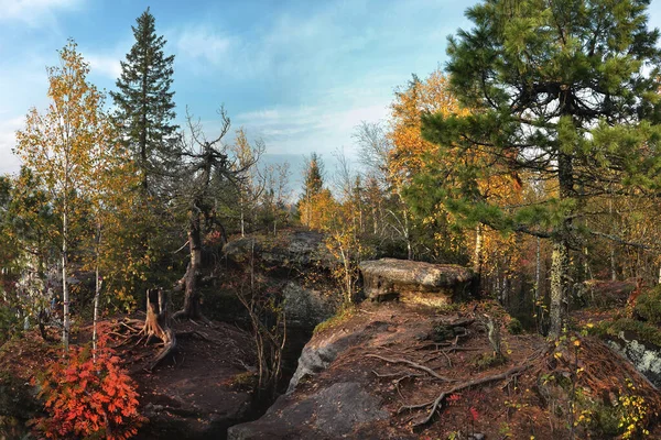 Kuzey yamacında Ural Dağları. Rocky yamaçları, yosunlar ve güneşin altında nadir bulunan bitkiler..