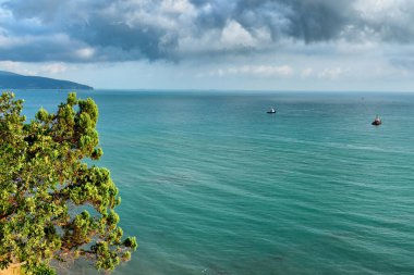Karadeniz. Krasnodar Bölgesi 'nin sıcak ve güneşli sahillerinden panorama. Doğa ve turkuaz sular.