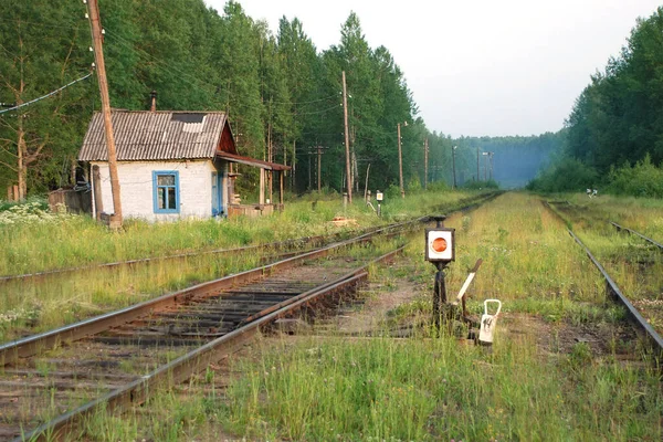 Oude Russische spoorlijn en station met halfvolwassen sporen — Stockfoto