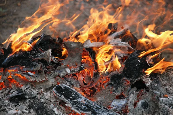 Bir ateşin yakın çekimi Şenlik ateşi yakar.