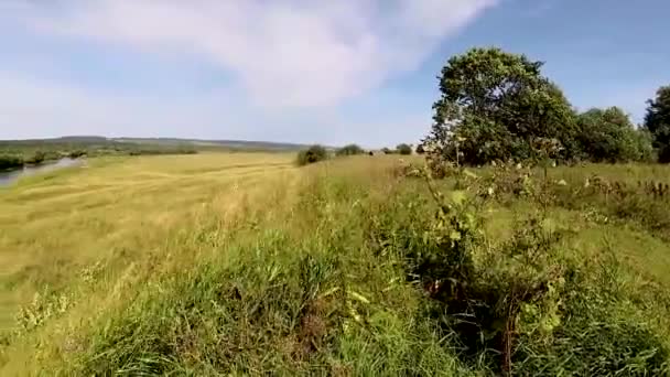 Kama panorama del valle del río, vista desde la colina hasta el agua y los prados — Vídeos de Stock