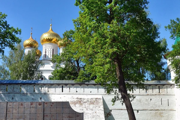 Katedrála Narození Panny Marie v Kostromě. Zlatý prsten Ruska — Stock fotografie