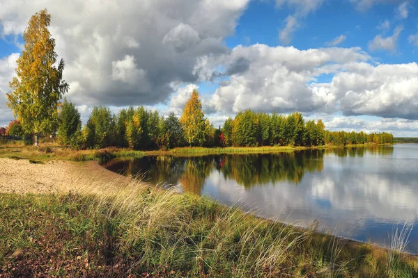 Güzel bir orman gölünün kıyısında sonbahar ağaçları. — Stok fotoğraf