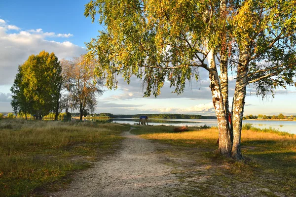 Árboles de otoño a orillas de un hermoso lago forestal . —  Fotos de Stock