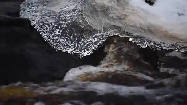 Grass in ice in the middle of a swift winter river. Cold stream — Stock Video