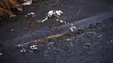 Fırtınalı orman nehri, hızla sonlu kaynak sularını taşır. Dallar akıyor.