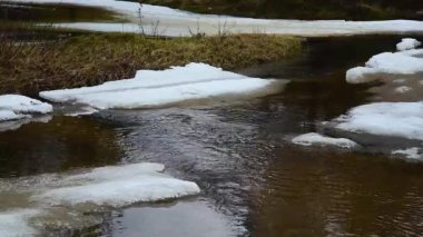 Orman nehri ve yüzen buz kütleleri. Bahar çamı ormanında geçici bir dere