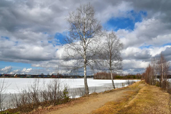 Деревья на берегу замёрзшего озера в солнечный весенний день — стоковое фото