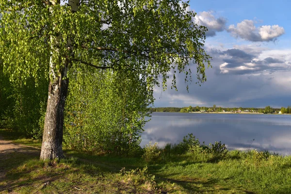 Güzel bir orman gölünün kıyısında bahar ağaçları — Stok fotoğraf