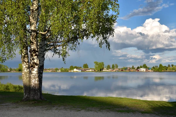 Árboles de primavera en las orillas de un hermoso lago forestal —  Fotos de Stock