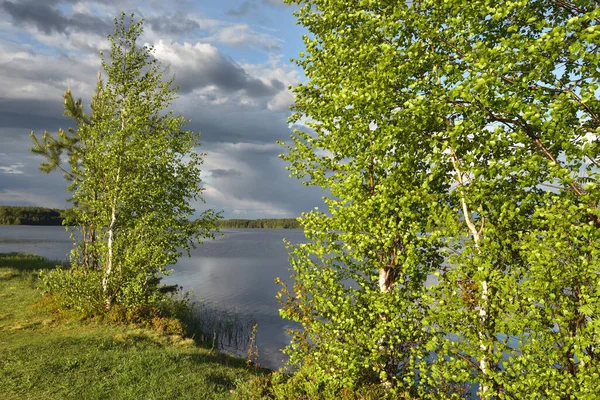 Spring trees on the banks of a beautiful forest lake Stock Image