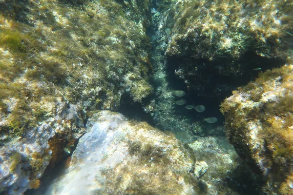 Lagadakia Strand Kefalonia Görögország — Stock Fotó