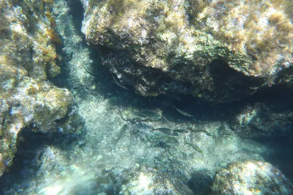 Playa Lagadakia Kefalonia Grecia —  Fotos de Stock