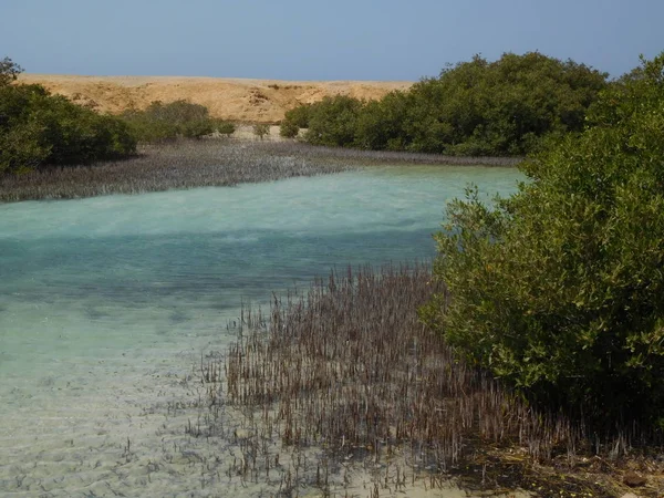 Meerblick Mohamed Nationalpark — Stockfoto