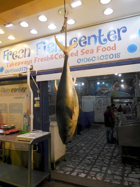 Leven Straat Van Sharm Sheikh — Stockfoto