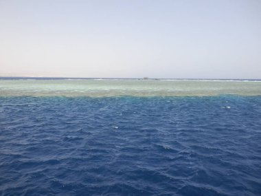 Tiran Adası 'ndaki mercan kayalıkları