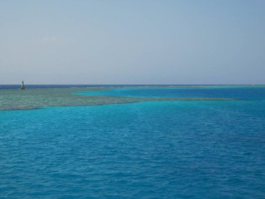 Tiran Adası 'ndaki mercan kayalıkları