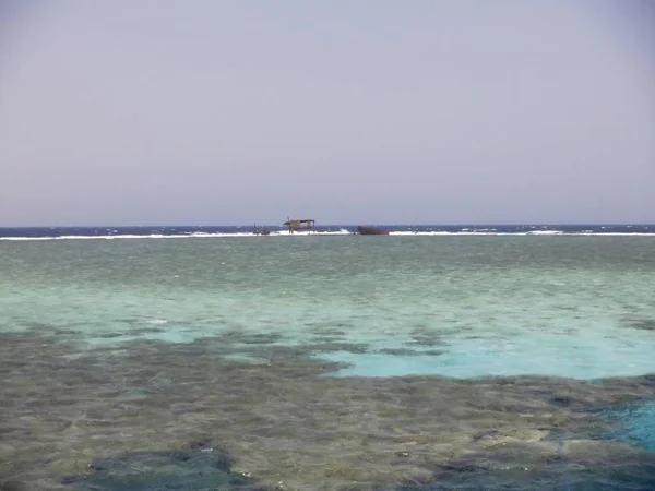 Recifes Coral Ilha Tiran — Fotografia de Stock
