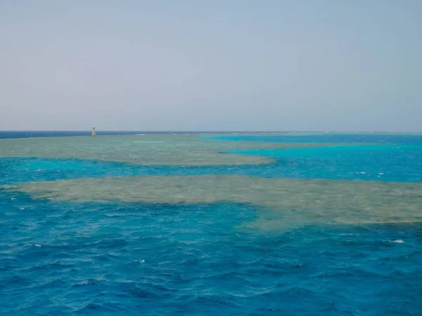 Recifes Coral Ilha Tiran — Fotografia de Stock