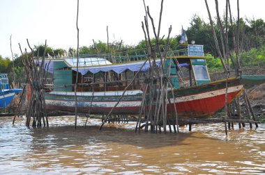 Chong Kneas Yüzen Köyü, Siem Reap, Kamboçya