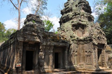 Ta Prohm tapınağının antik kalıntıları, Kamboçya