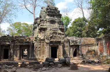 Ta Prohm tapınağının antik kalıntıları, Kamboçya
