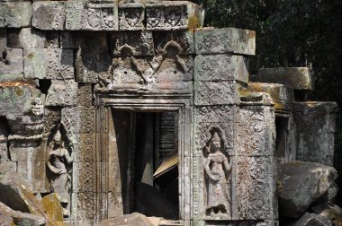 Ta Prohm tapınağının antik kalıntıları, Kamboçya