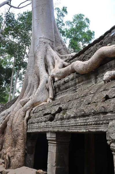 Vista Las Ruinas Antiguas Del Templo Prohm Camboya —  Fotos de Stock