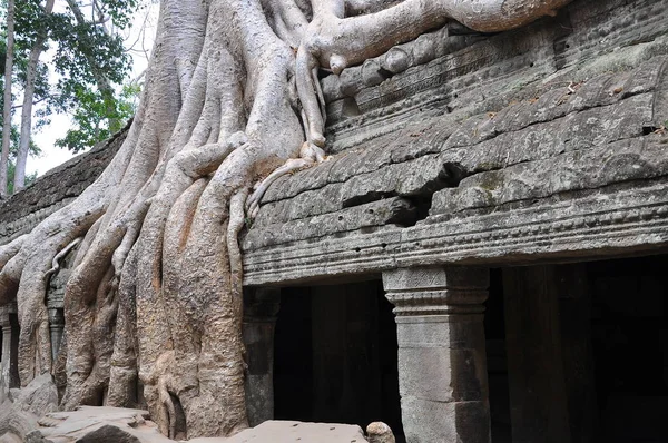 Vista Las Ruinas Antiguas Del Templo Prohm Camboya —  Fotos de Stock