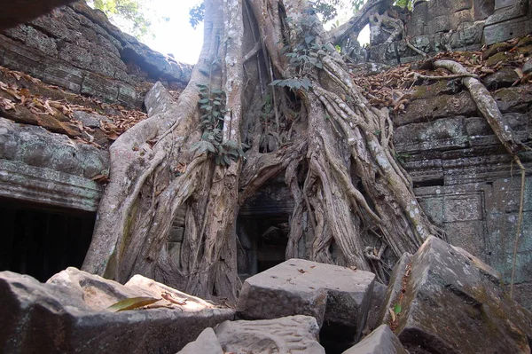 Vista Las Ruinas Antiguas Del Templo Prohm Camboya —  Fotos de Stock