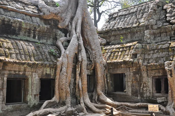 Vista Las Ruinas Antiguas Del Templo Prohm Camboya —  Fotos de Stock