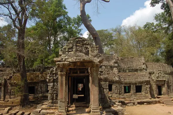 Zicht Oude Ruïnes Van Prohm Tempel Cambodja — Stockfoto