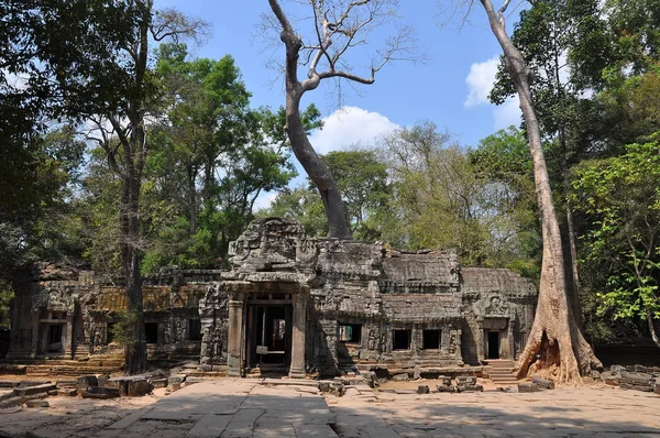 Zicht Oude Ruïnes Van Prohm Tempel Cambodja — Stockfoto