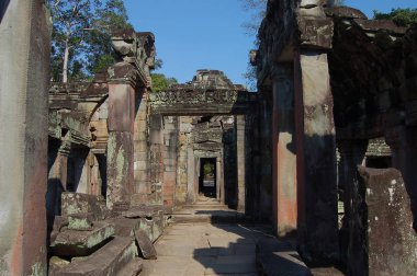 Angkor Wat Unesco 'daki Preah Khan tapınağının manzarası.