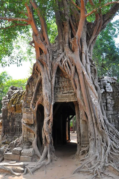 柬埔寨Ta Som寺景观 — 图库照片