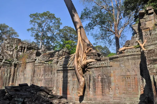 Angkor Wat Unesco Daki Preah Khan Tapınağının Manzarası — Stok fotoğraf