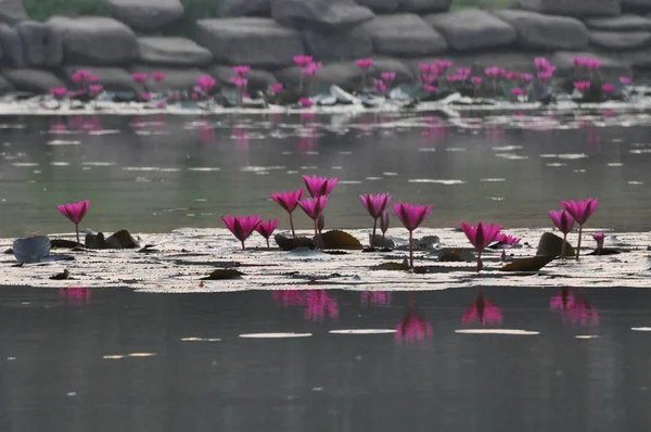 Siluetti Angkor Wat Auringonnousun Aikaan Kambodza — kuvapankkivalokuva