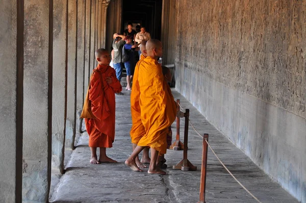 Монахи Изучающие Храм Ангкор Ват — стоковое фото