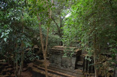 Beng Mealea Tapınağı, Kamboçya