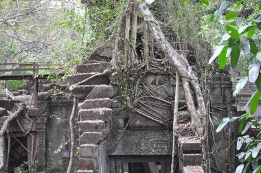 Beng Mealea Tapınağı, Kamboçya