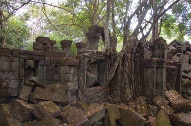 Beng Mealea Tapınağı, Kamboçya
