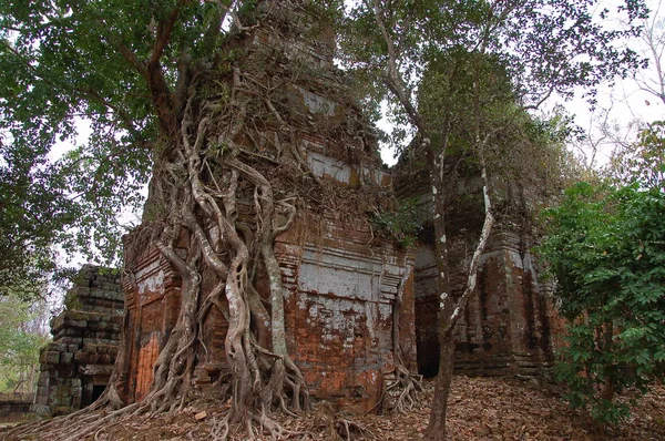 柬埔寨Koh Kercomplex的观点 — 图库照片