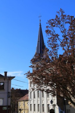 Noel zamanı Ljubljana caddesi manzarası
