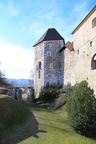 Замок Любляна Ljubljanski Град Словенія Європа — стокове фото