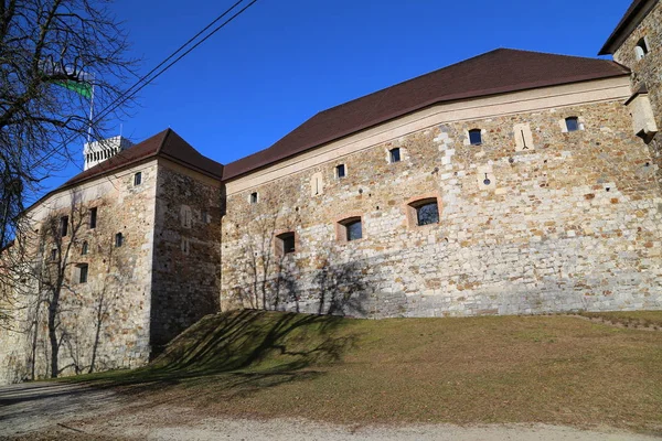 Castello Lubiana Ljubljanski Grad Slovenia Europa — Foto Stock