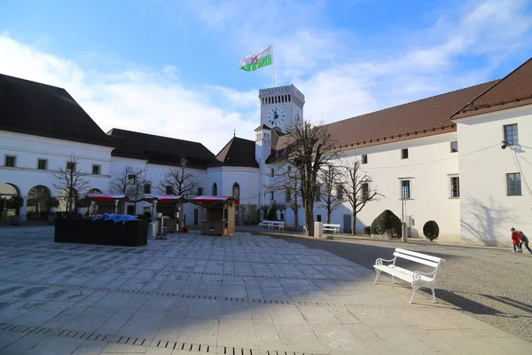 Castello Lubiana Ljubljanski Grad Slovenia Europa — Foto Stock